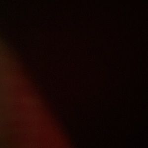 Meet your Posher, Shellby